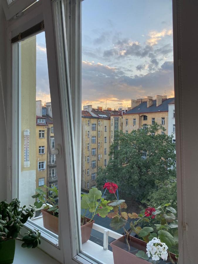 Homelike Appartamento Praga